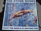 The Stone Roses   What The World Is Waiting For / Fools Gold 9.53  12