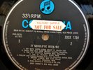DEMO COPY  ZOOT MONEY BIG ROLL BAND UK MONO COLUMBIA RECORDS LP 33SX1734 MINT