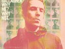 LIAM GALLAGHER - WHY ME WHY NOT NEW VINYL