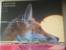 Everything Everything - Man Alive (2010) Rare Gatefold Vinyl