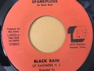 BLACK RAIN KASHMERE STAGE BAND- SPARKPLUGS  45 Rare HOUSTON TEXAS FUNK