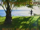 Lee Scratch Perry- Rootz Reggae Dub Special Edition LP NEW