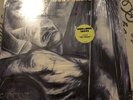 Screaming Trees - Dust 12” Vinyl Record LP