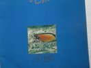 DIRE STRAITS - LIVE PROJECT - 2 LP - FOR JAPANESE FANS ONLY -