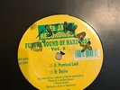 Future Sound of Hardcore Volume 2 - Promised Land / Desire 12” Jungle Vinyl 1994