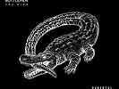 CATFISH &  THE BOTTLEMEN - RIDE NEW VINYL