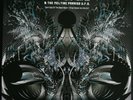 ACID MOTHERS TEMPLE & THE MELTING PARAISO U.F.O. ?– DARK SIDE OF THE BLACK MOON