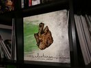 LISTENER - WOODEN HEART (CLEAR GREEN COLOR VINYL) LP