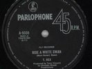 T-Rex / Tyrannosaurus Rex Ride A White Swan Australian 7