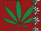 Evolution In One Take Vol.2 [Vinyl] Brutal Truth