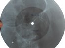 ANIMALS - HOUSE OF THE RISING SUN - USSR GEORGIA X-RAY ROENTGEN BONES RECORD