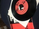 The Misfits - 
