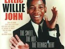 LITTLE WILLIE JOHN - The Sweet The Hot The Teenage Beat (reissue) - Vinyl (LP)