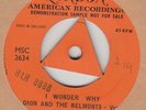 DION & THE BELMONTS 