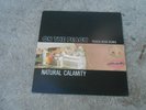 NATURAL CALAMITY-ON THE PEACH-LP-JAPAN-DUST BROTHERS-MONEY MARK-KOOL KEITH-1997