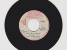 ROCKERS/ CHANGING WORLD - EARL SIXTEEN (80 REGGAE ROOTS 7