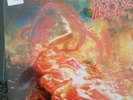 Morbid Angel Gatefold Blue vinyl Earache Still Sealed