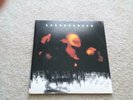 Soundgarden Superunknown Rock n Roll LMT. LPs Clear Vinyl with Lyrics NM-/NM-
