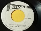 THE CHECK-MATES -TRAIN TO SOULVILLE/LORD TANAMO/RAINY NIGHT IN GEORGIA STUDIO 1