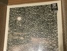 Panda Bear - A Day With The Homies (SEALED BRAND NEW LIMITED VINYL LP)