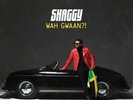 SHAGGY NEW VINYL