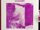 Interspecies - Whalescapes - RARE PRIVATE EXPERIMENTAL LP
