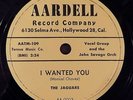 THE JAGUARS - 78 - I Wanted You / Rock It, Davy, Rock It - Aardell AA-0003 - NM