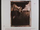 PIXIES: Surfer Rosa LP (180g reissue, half speed master, sm toc, tiny corner d