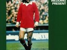 WEDDING PRESENT, The - George Best - Vinyl (LP)