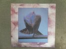 ?PRINCE?SYNDICATE?JAPAN?PROMO?ONLY?EP?NEW????MARVELOUS?CONDITION