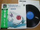 TRACE - BIRDS - TOP JAPAN 12