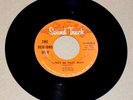 Rare Texas Garage - The Reasons Why - Don't Be That Way - 1966