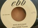 Hollywood Flames ebb 119 BUZZ-BUZZ-BUZZ (RARE DOO WOP PROMO 45) PLAYS GREAT
