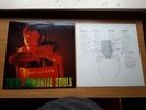 THESE IMMORTAL SOULS I'm Never Gonna Die Again vinyl LP EX+/EX+ Mute orig 1992