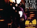 Wu-Tang Clan - Enter The Wu-Tang 36 Chambers LP Vinyl *FACTORY SEALED*