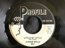Junior Wells, Profile 4011, Little By Little & Come On In This House, Good R&B