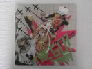 THE GO  TEAM - PROOF OF YOUTH  LP FIRST ISSUE