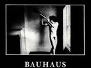 BAUHAUS-IN THE FLAT FIELD (BROZ) VINYL LP NEW