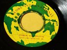RARE /  DON DRUMMOND JR.- FISHER MAN SPECIAL/ REGGAE 7