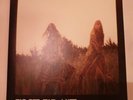 First Aid Kit The Lion's Roar LP VINYL Wichita 2012