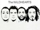 Wildhearts - Wildhearts 2LP white vinyl 2007