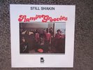 THE FLAMIN' GROOVIES 
