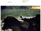 Fleet Foxes - Crack-Up Vinyl Record
