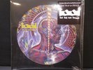 Tool -  Lateralus 2 LP PICTURE