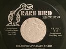 Sweet Soul 45 Earl Lewis and The Channels Breaking Up.. on Rare Bird HEAR