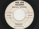 '59 Ark. Rockabilly WALLACE WATERS Holiday Hill/Walkin' And A-Thinkin' VG- HEAR