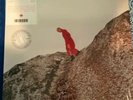 Cate Le Bon, Reward, Limited Edition of 800, Signed Dinked Vinyl 2019