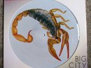 Scorpions Big City Nights/Bad Boys Running Wild Picture Disc 12