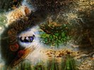 RSD PINK FLOYD A SAUCERFUL OF SECRETS SEALED REMASTERED VINYL LP