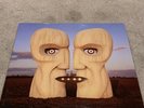 The Division Bell: Pink Floyd (2014 LP Vinyl In NM Condition)